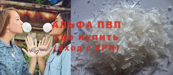 СК Елизово