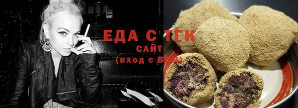 СК Елизово