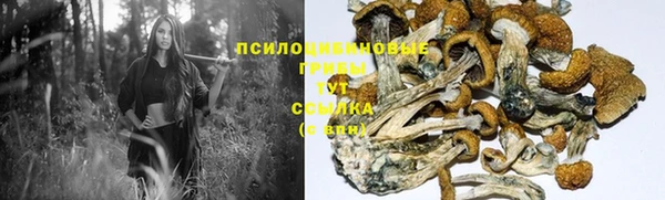 меф Ельня